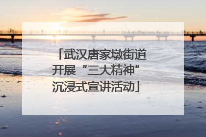 武汉唐家墩街道开展“三大精神”沉浸式宣讲活动
